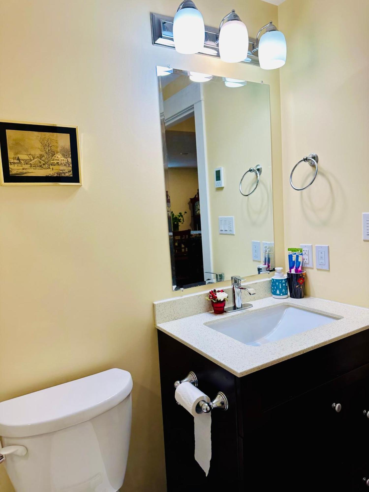 شقة Luxurious Basement Retreat تشارلوت تاون المظهر الخارجي الصورة